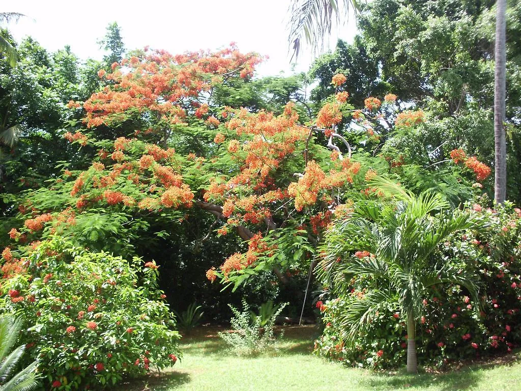 Hotel Casa de las Flores tropical San Andrés