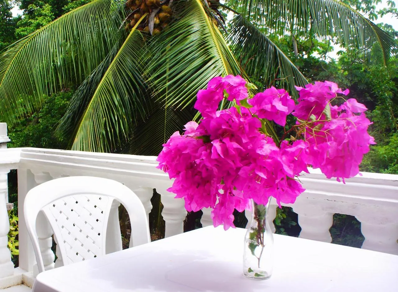 Hotel Casa De Las Flores Tropical San Andrés