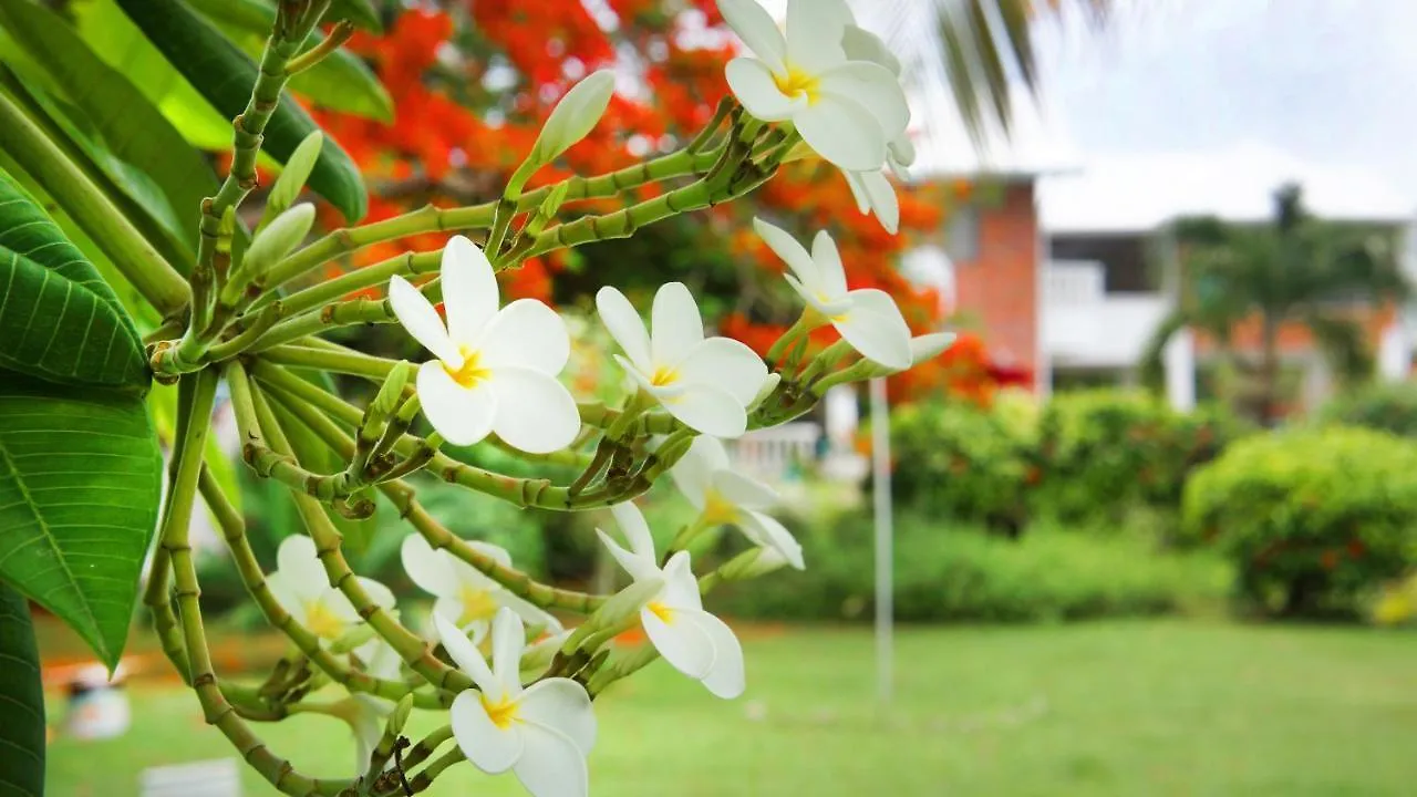 Отель Casa De Las Flores Tropical Сан-Андрес