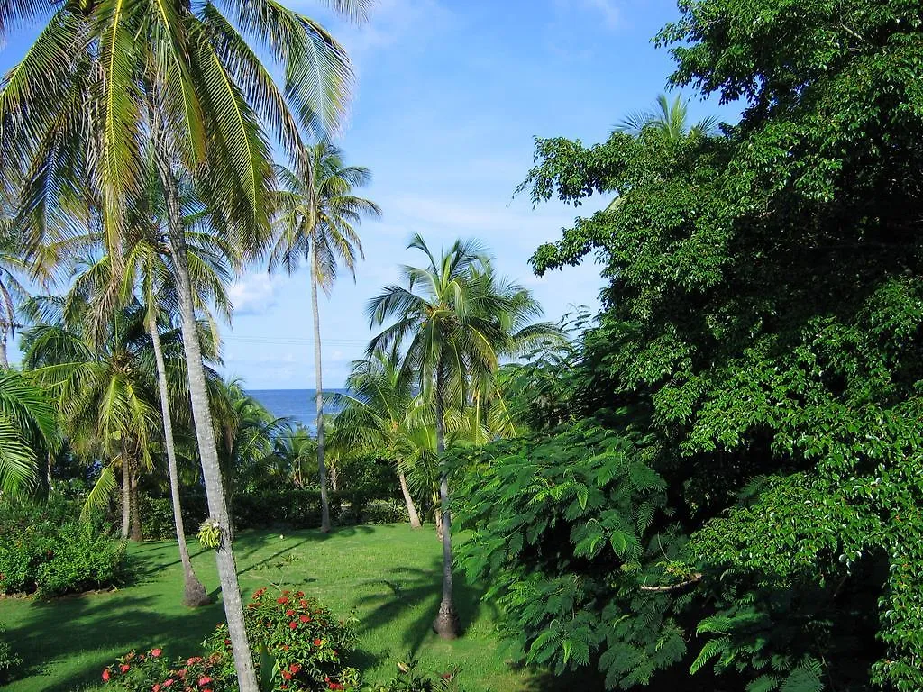 Отель Casa De Las Flores Tropical Сан-Андрес